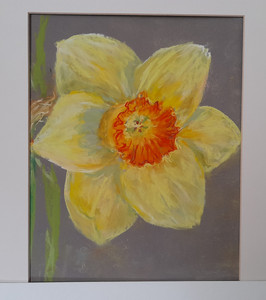Chrissy F, Daffodil, pastel.jpg